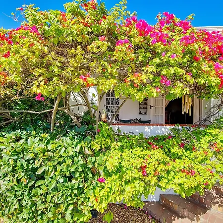 Charming Family Home Cidade Do Cabo Exterior foto