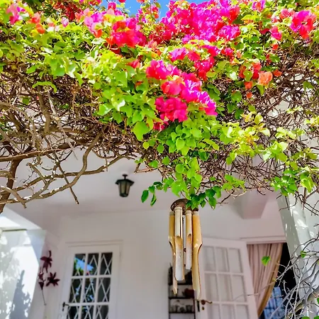 Charming Family Home Cidade Do Cabo Exterior foto