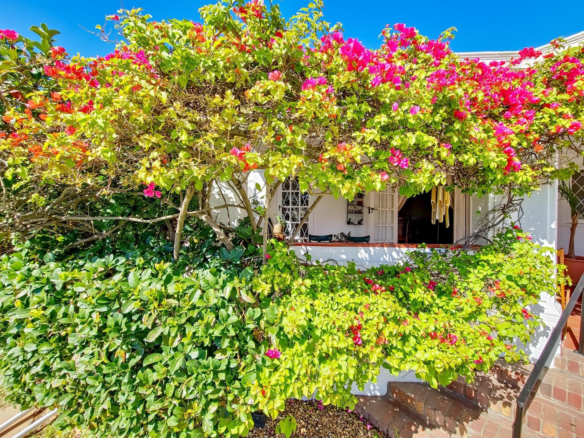 Holiday home Charming Family Cape Town