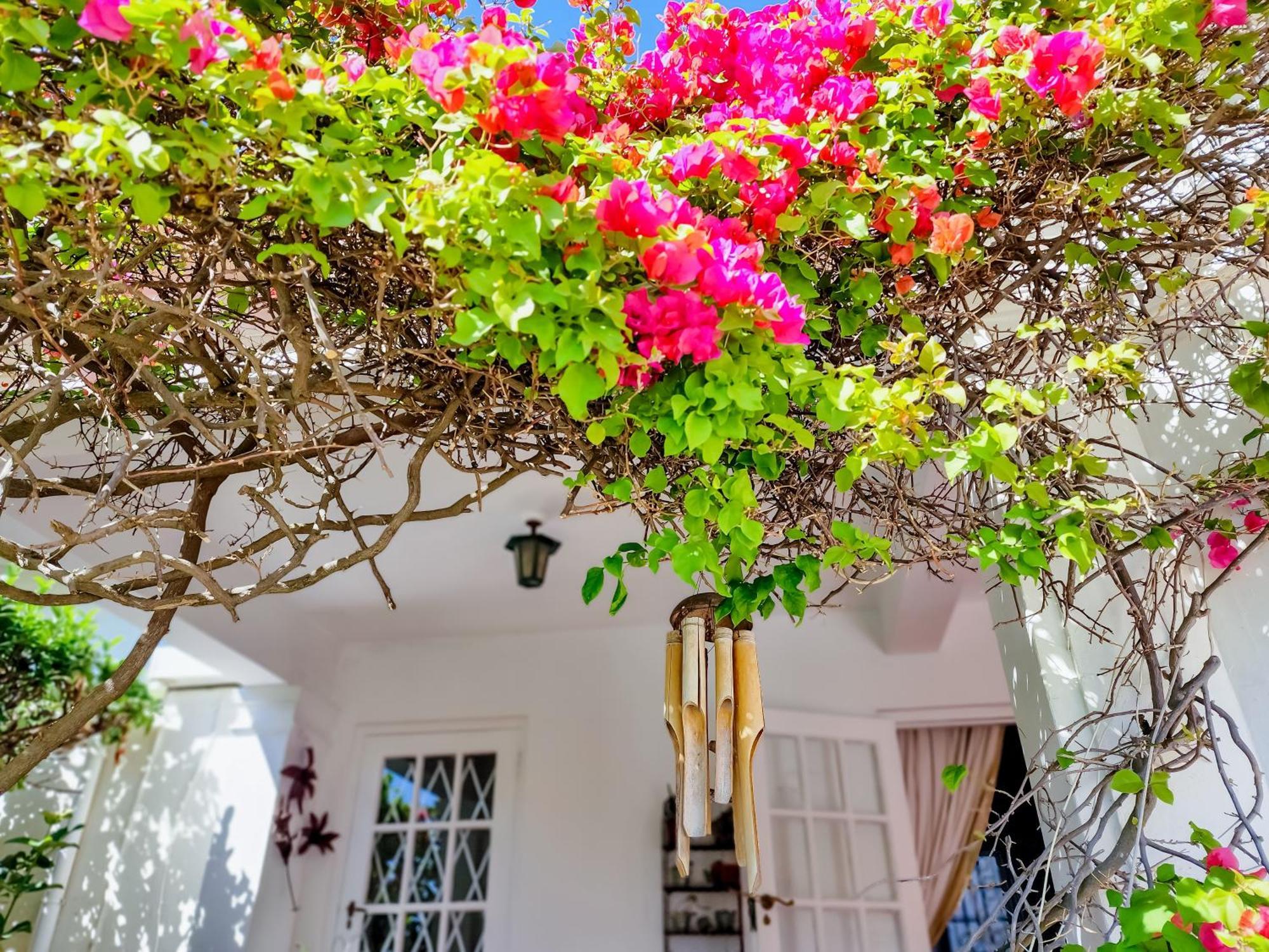 Charming Family * Cidade Do Cabo